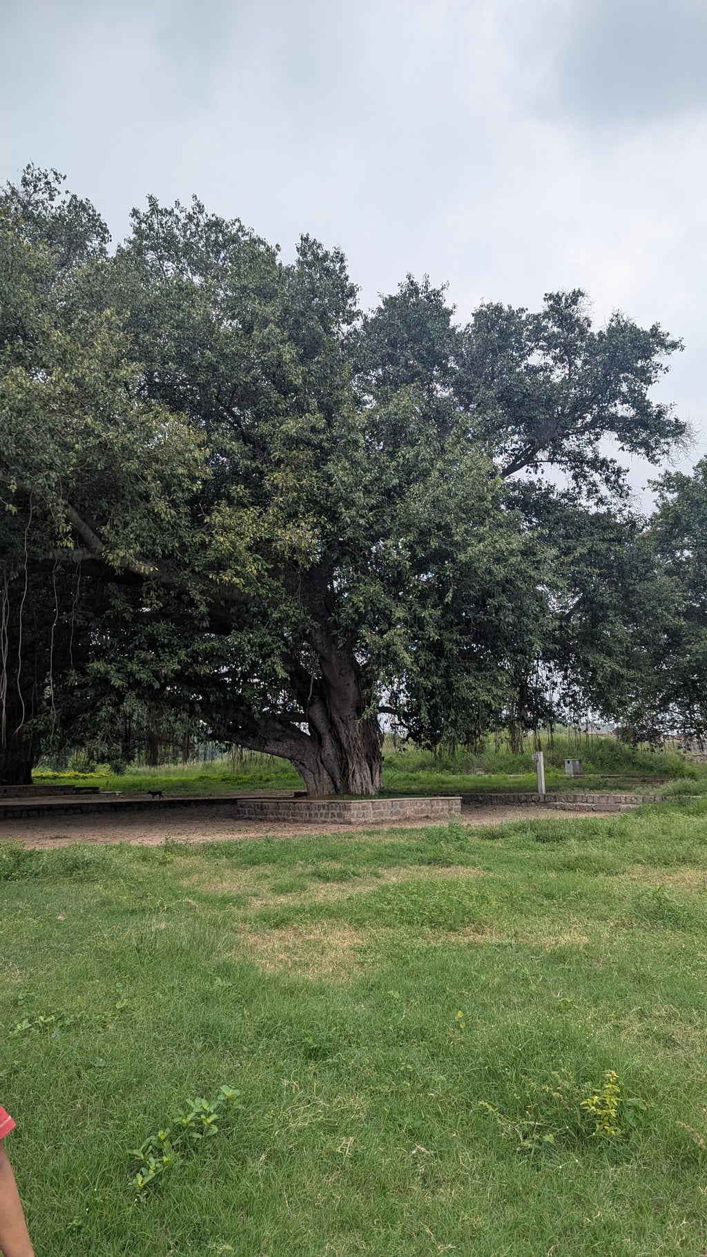 Google Pixel 7 — 7mm • ƒ/1.9 • 1/1397 • ISO 48