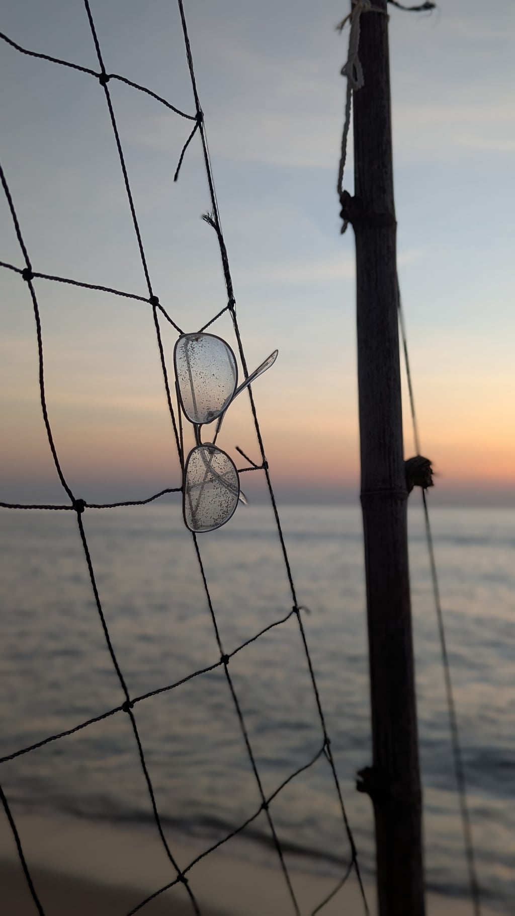 Google Pixel 7 — 7mm • ƒ/1.9 • 1/388 • ISO 44