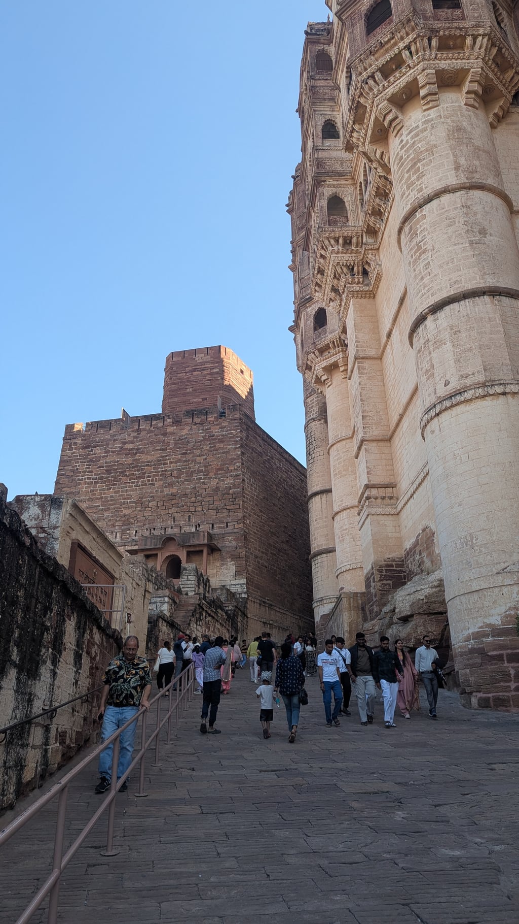 Google Pixel 7 — 7mm • ƒ/1.9 • 1/716 • ISO 47