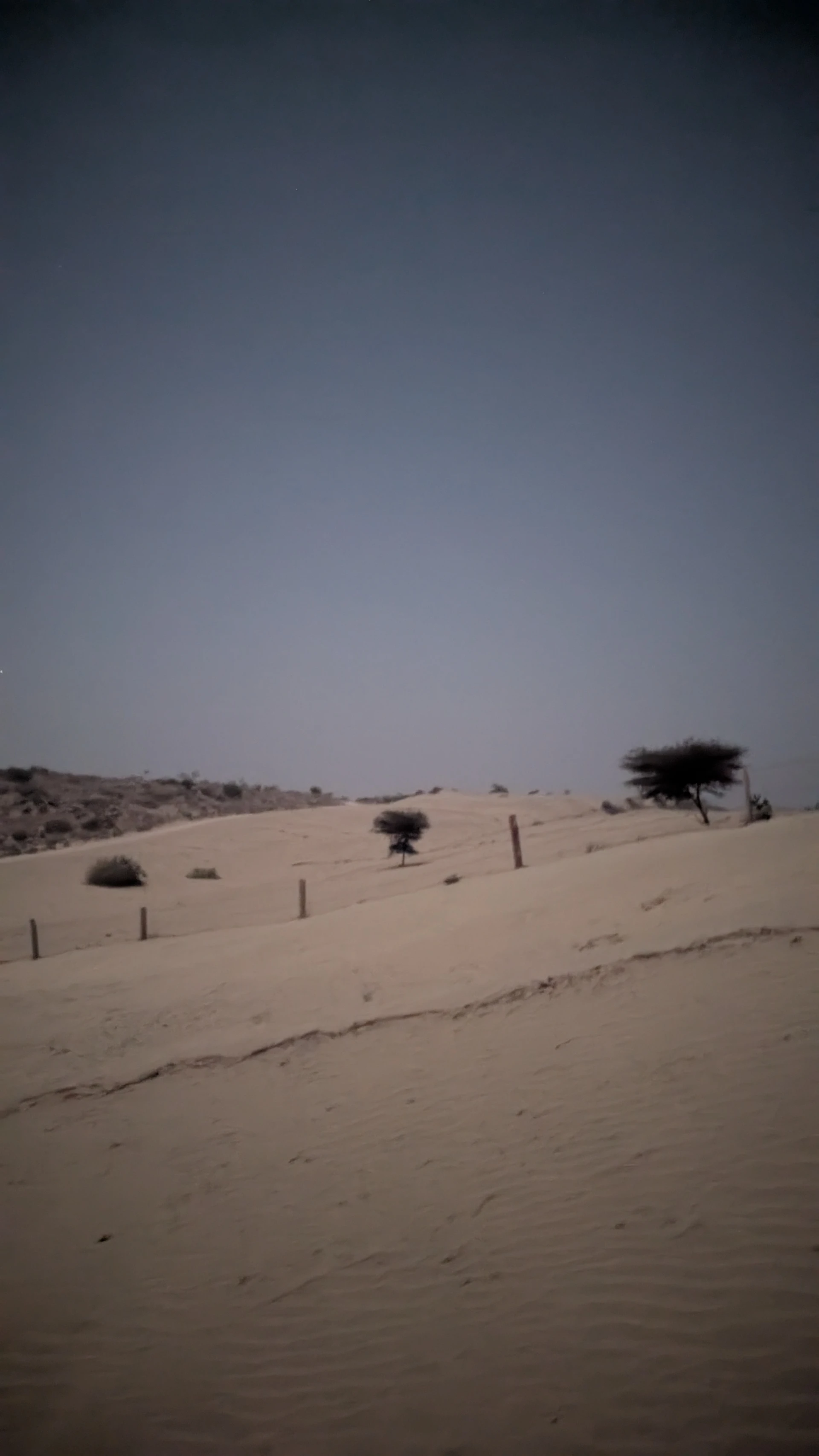 Camel Ride at Tejsi Dunes, Baran, Jaisalmer