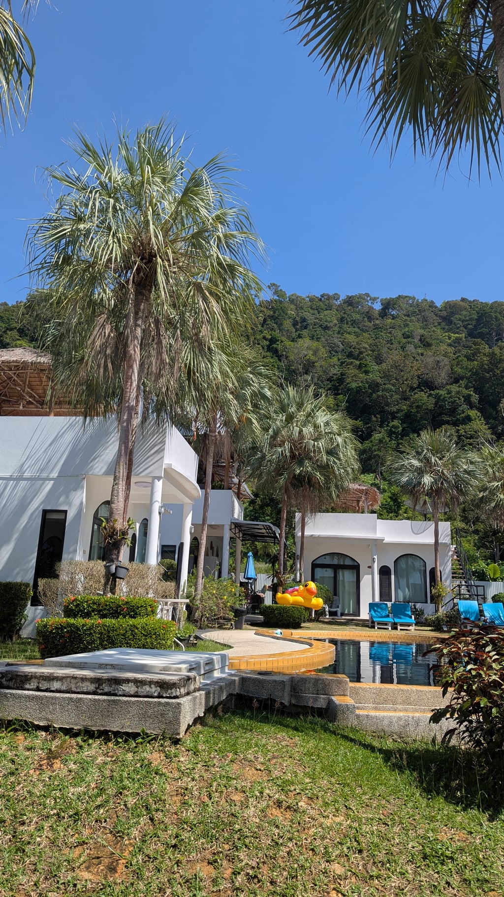 Google Pixel 7 — 7mm • ƒ/1.9 • 1/2217 • ISO 42