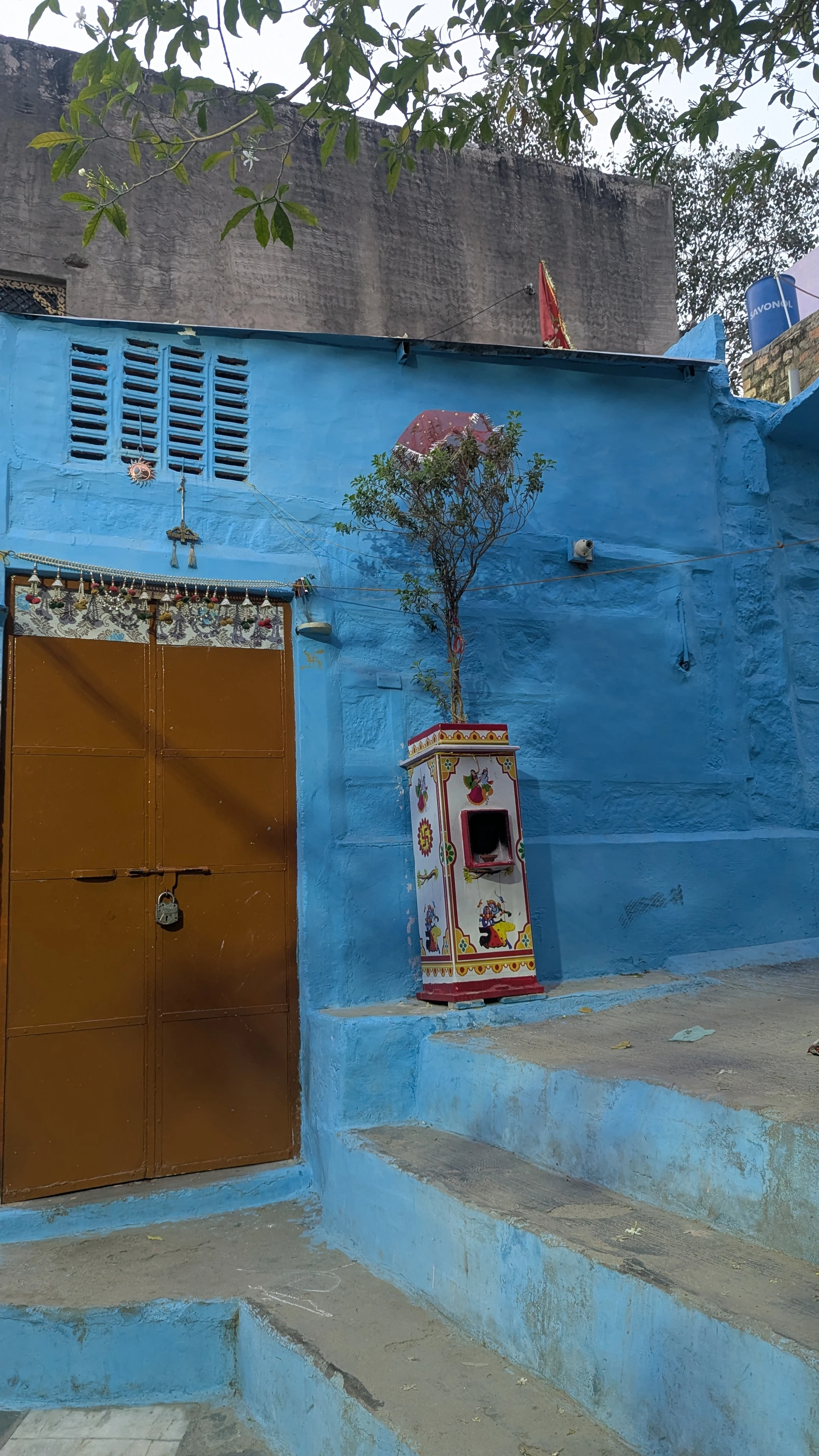 Narrow blue-painted lane in Jodhpur's old city with a quiet doorway and planter