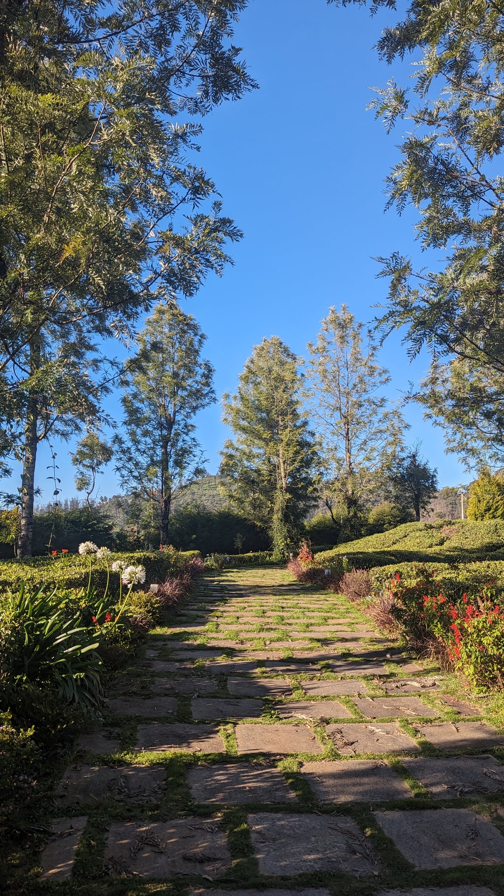 Google Pixel 7 — 7mm • ƒ/1.9 • 1/1179 • ISO 44