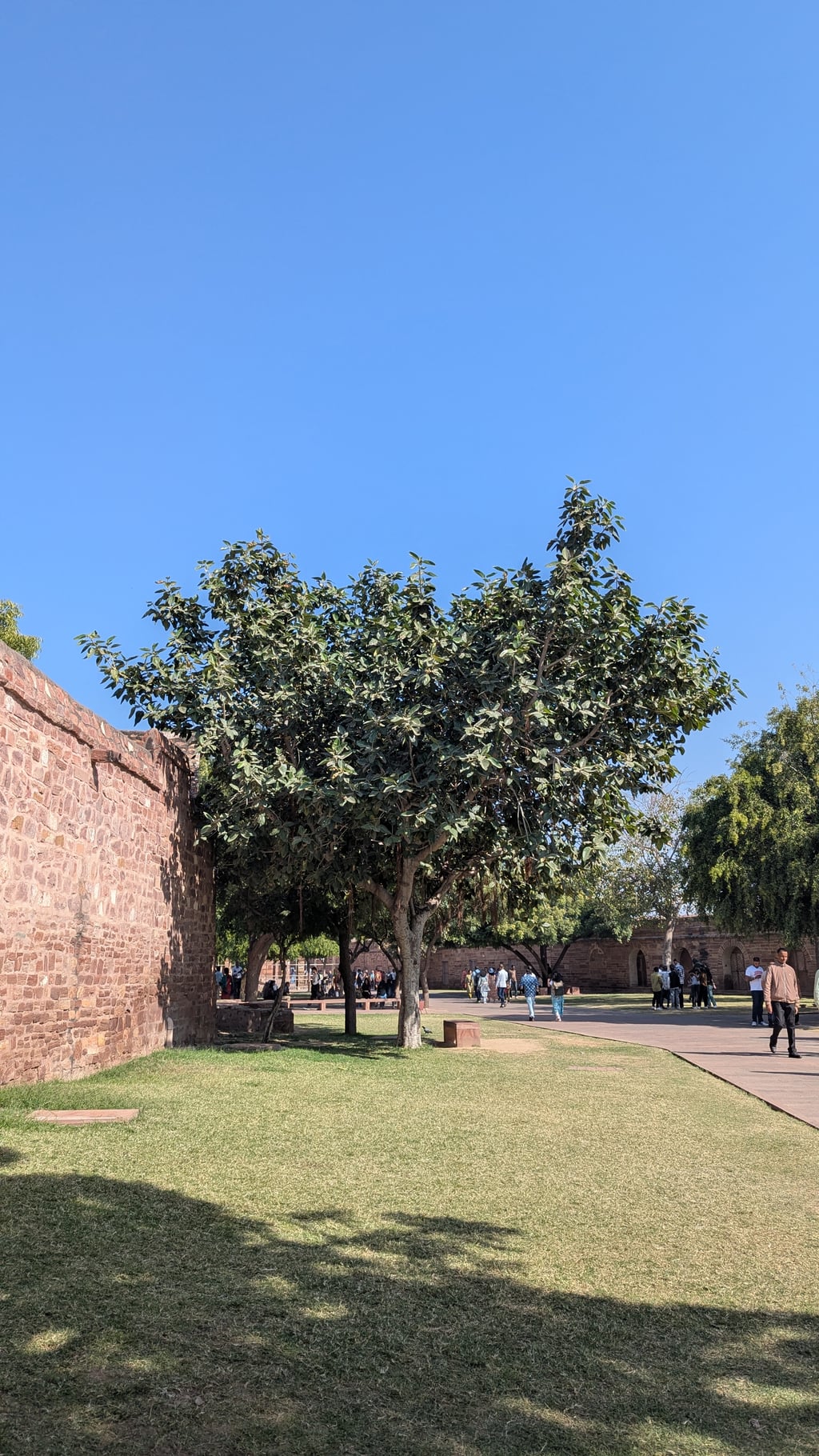 Google Pixel 7 — 7mm • ƒ/1.9 • 1/1572 • ISO 47