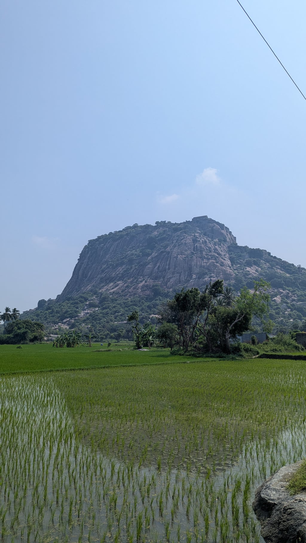 Google Pixel 7 — 7mm • ƒ/1.9 • 1/4184 • ISO 52