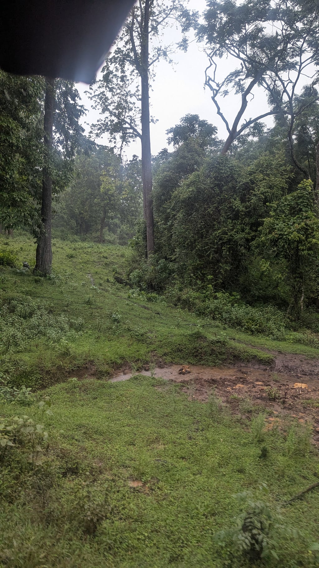 Google Pixel 7 — 7mm • ƒ/1.9 • 1/296 • ISO 83