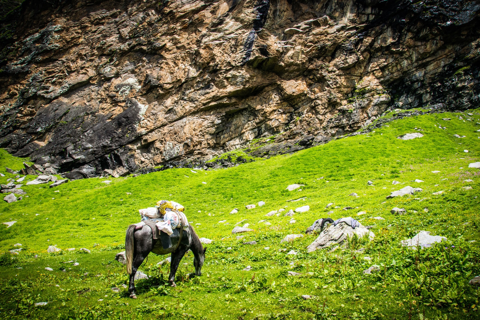The Quiet Workers — The Monsoon Diaries: Walking the Cloud-Line at Hampta Pass