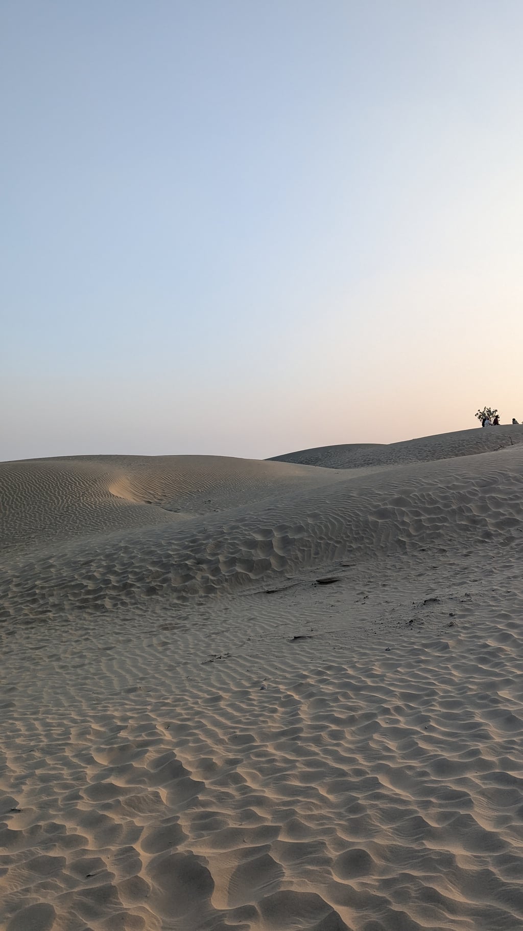 Google Pixel 7 — 7mm • ƒ/1.9 • 1/1048 • ISO 44