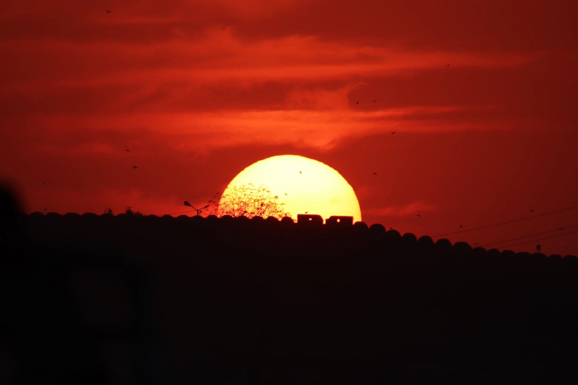 Desert sunset silhouetting Mehrangarh Fort walls and thorny scrub over Marwar, Jodhpur