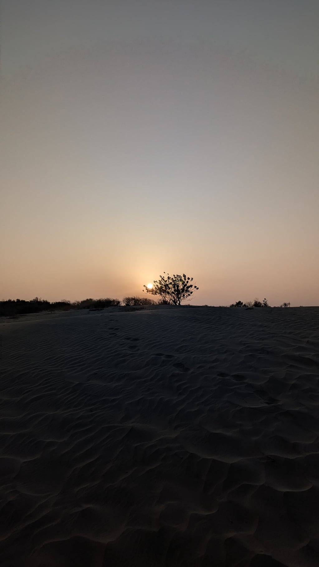 Google Pixel 7 — 7mm • ƒ/1.9 • 1/16129 • ISO 54