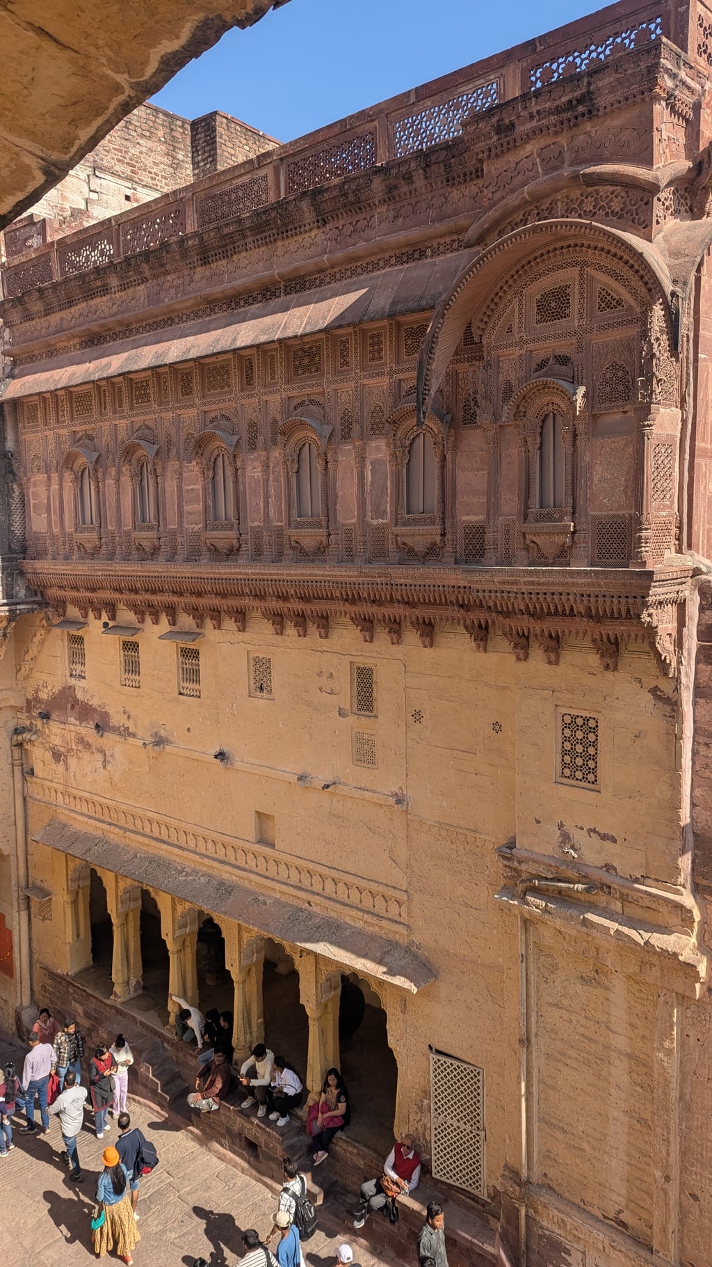 Google Pixel 7 — 7mm • ƒ/1.9 • 1/1795 • ISO 44