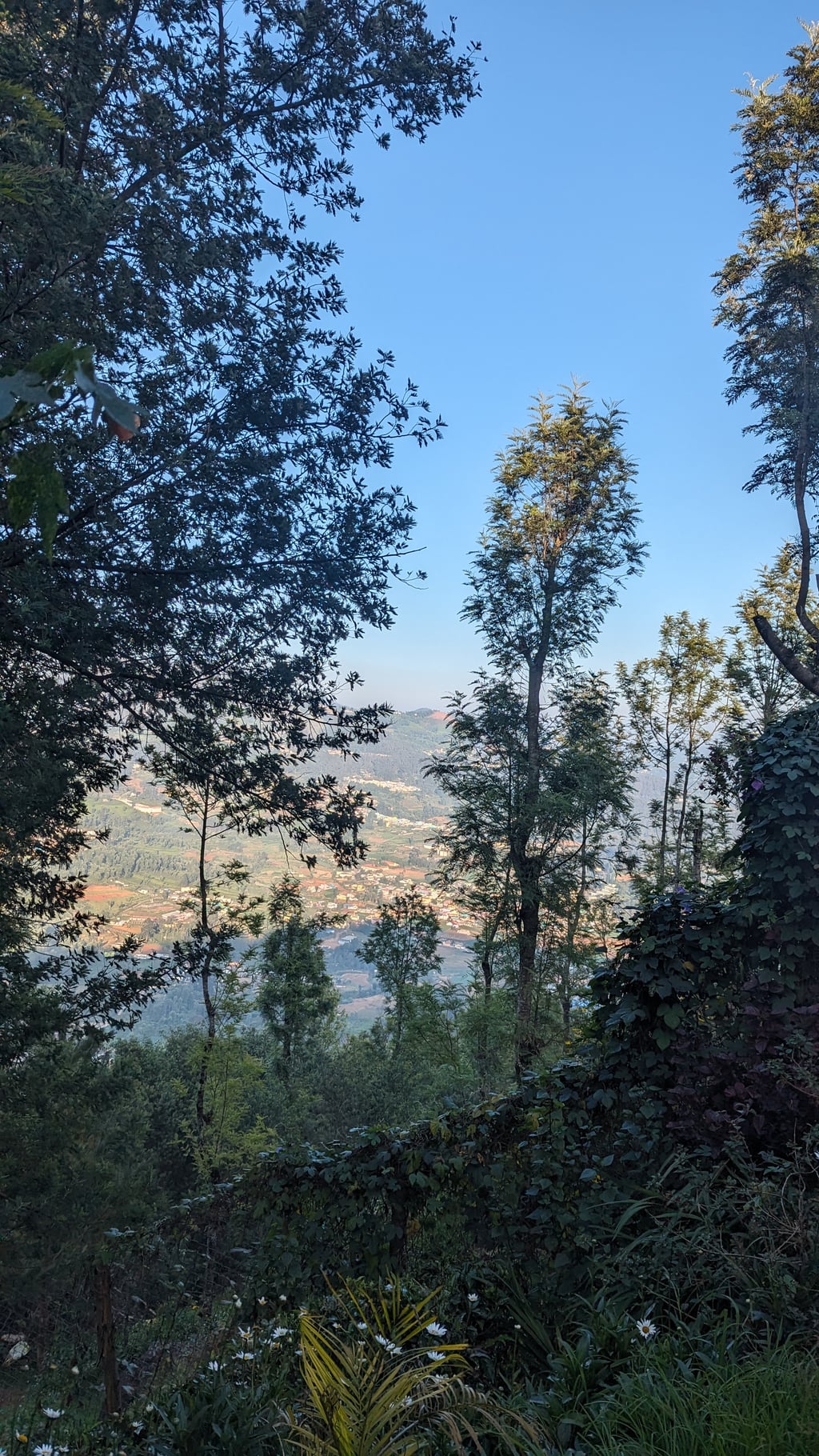 Google Pixel 7 — 7mm • ƒ/1.9 • 1/1048 • ISO 47