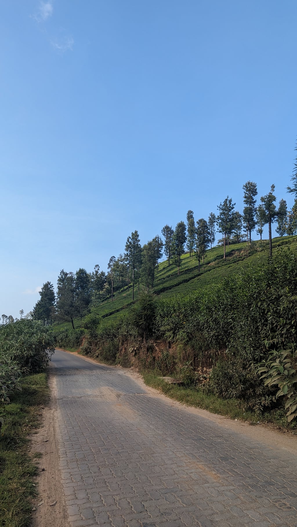 Google Pixel 7 — 7mm • ƒ/1.9 • 1/871 • ISO 46