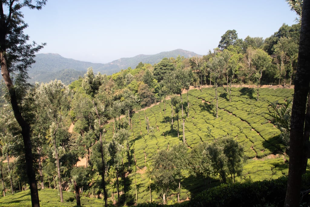 Canon Canon EOS 77D — 17mm • ƒ/11.0 • 1/50 • ISO 100