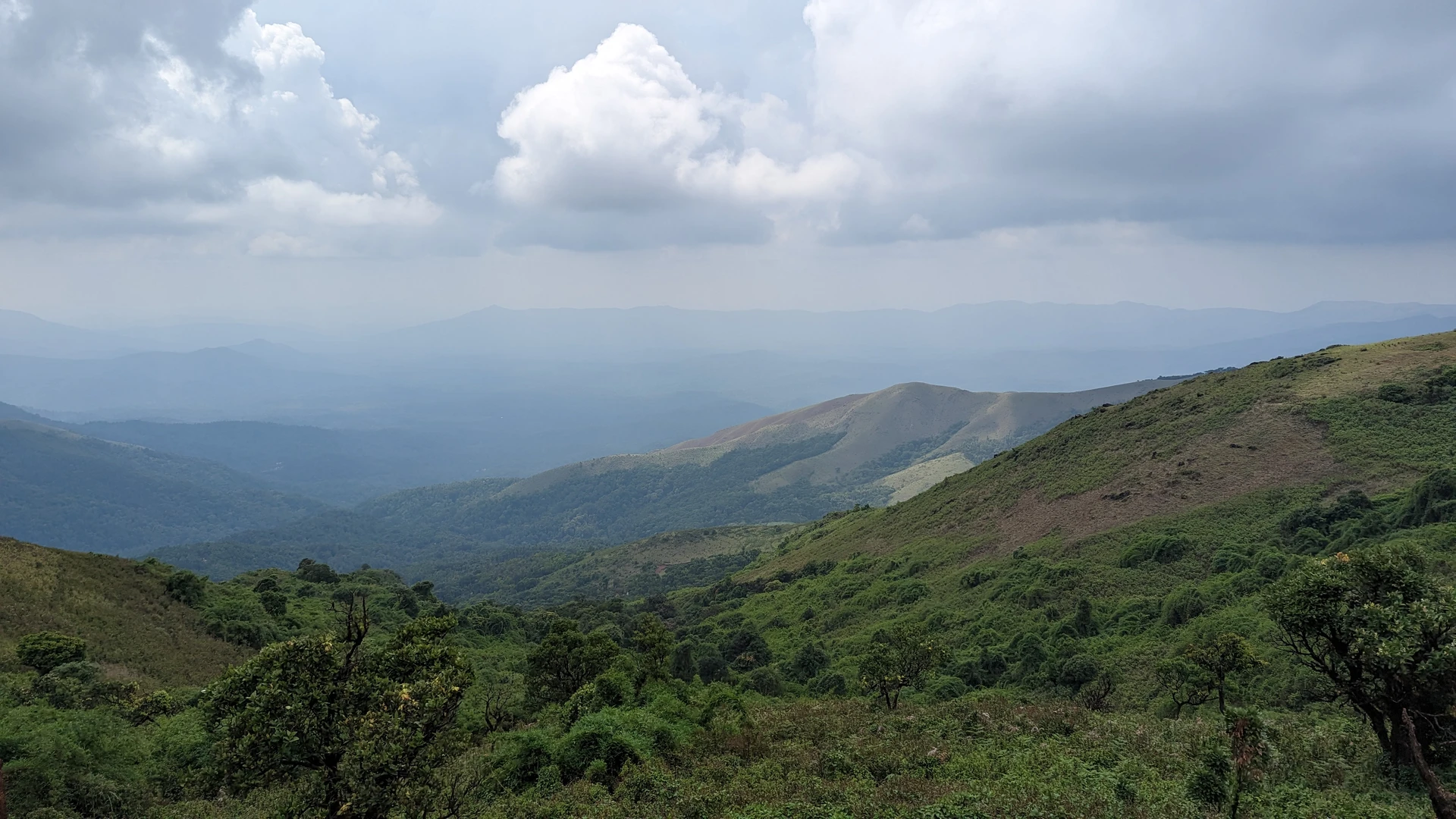 Western Ghats drive to Chikmagalur