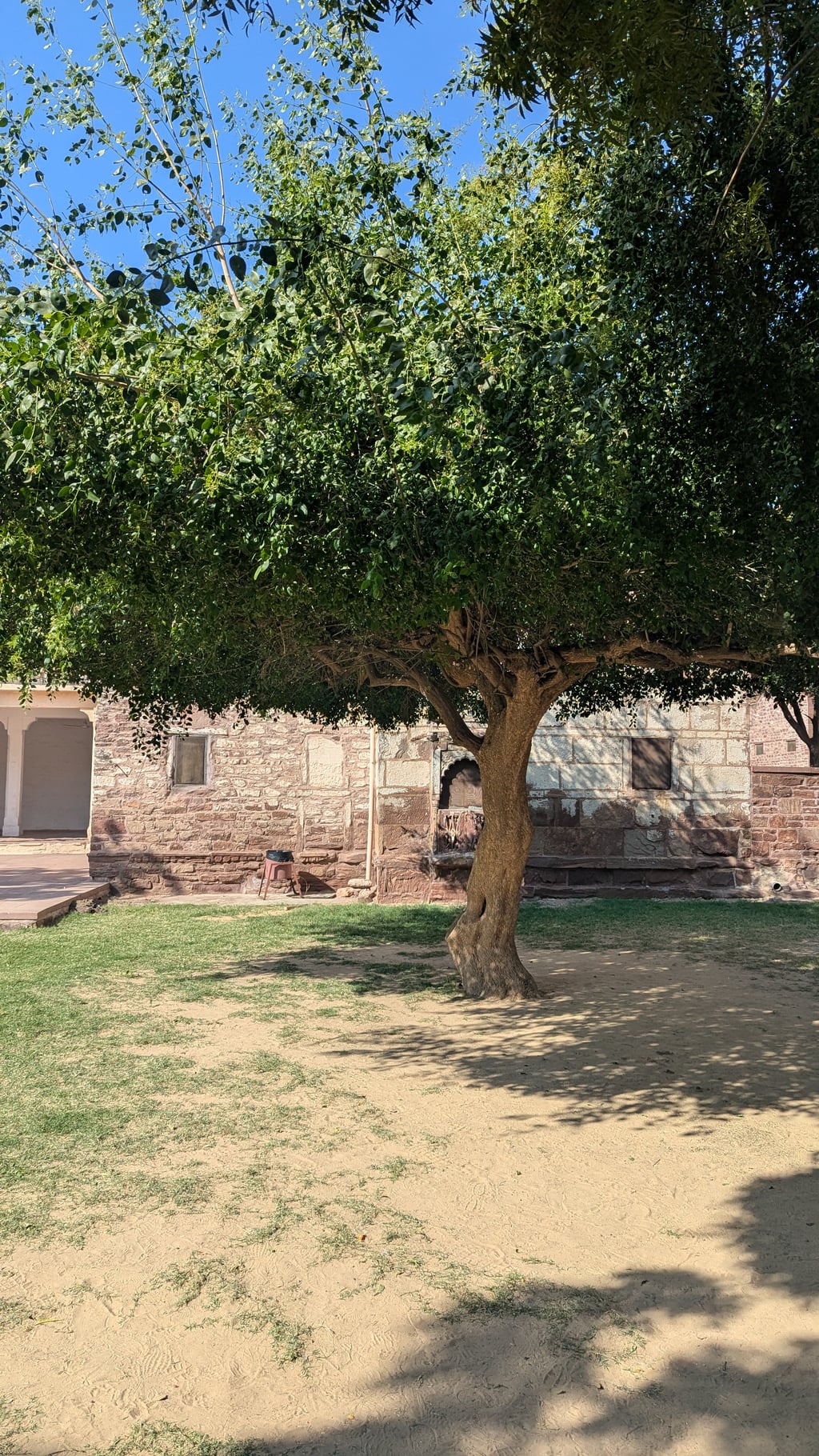 Google Pixel 7 — 7mm • ƒ/1.9 • 1/1770 • ISO 46