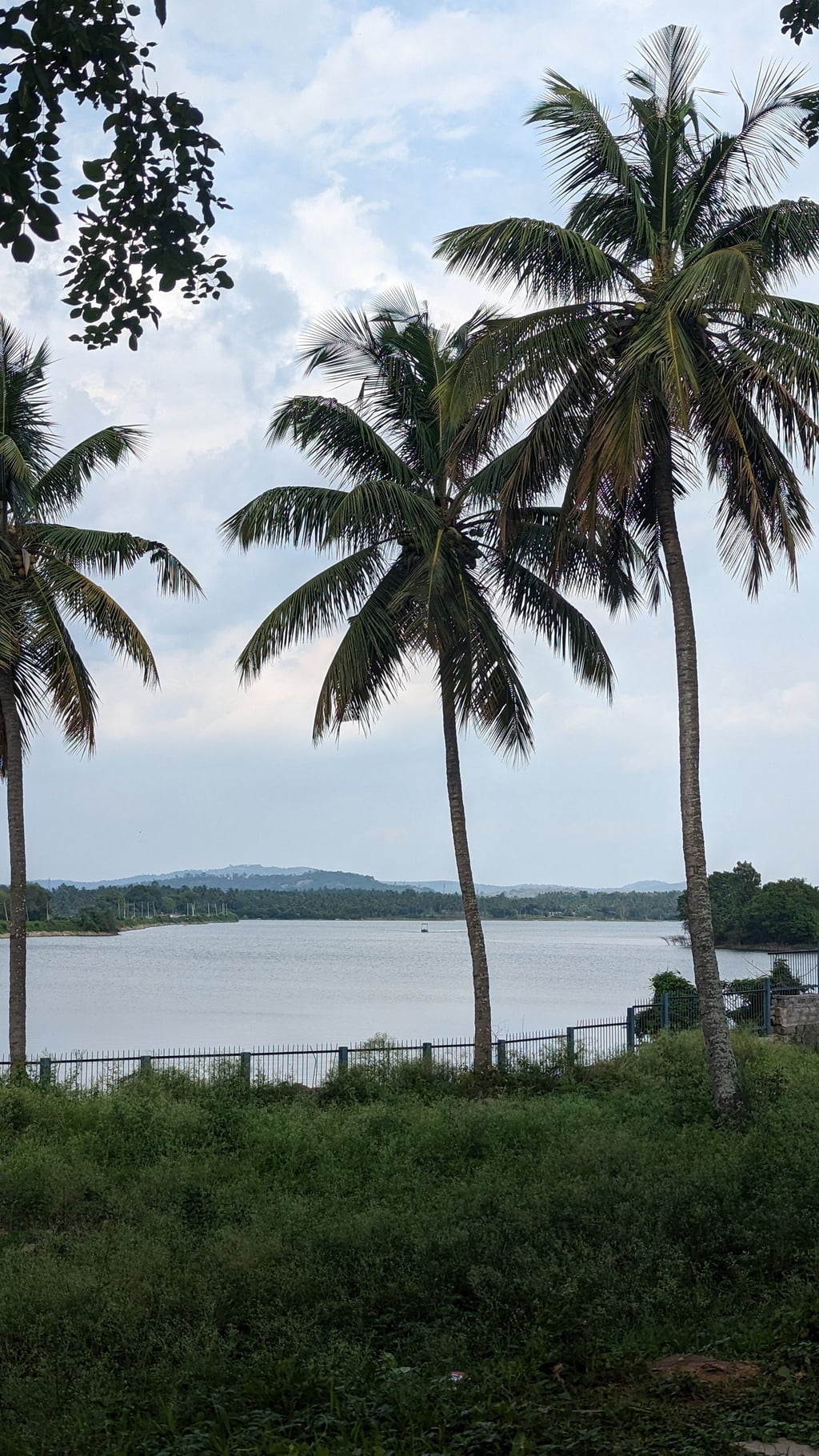 Hoysaleswara Temple Complex: Twin Shrines Overview