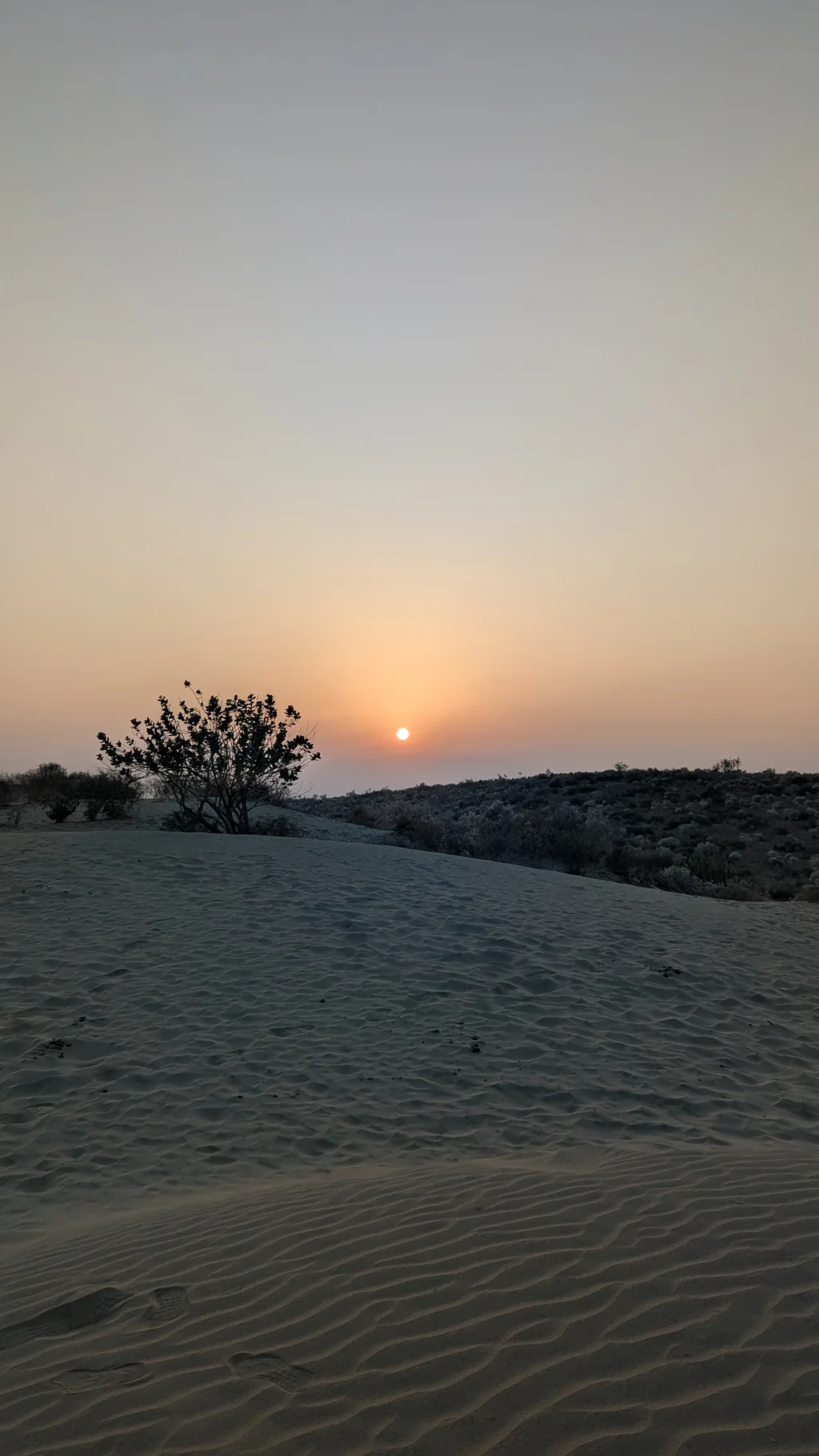 The Elusive Thar at Khuri: Silence, Sand, and Sky