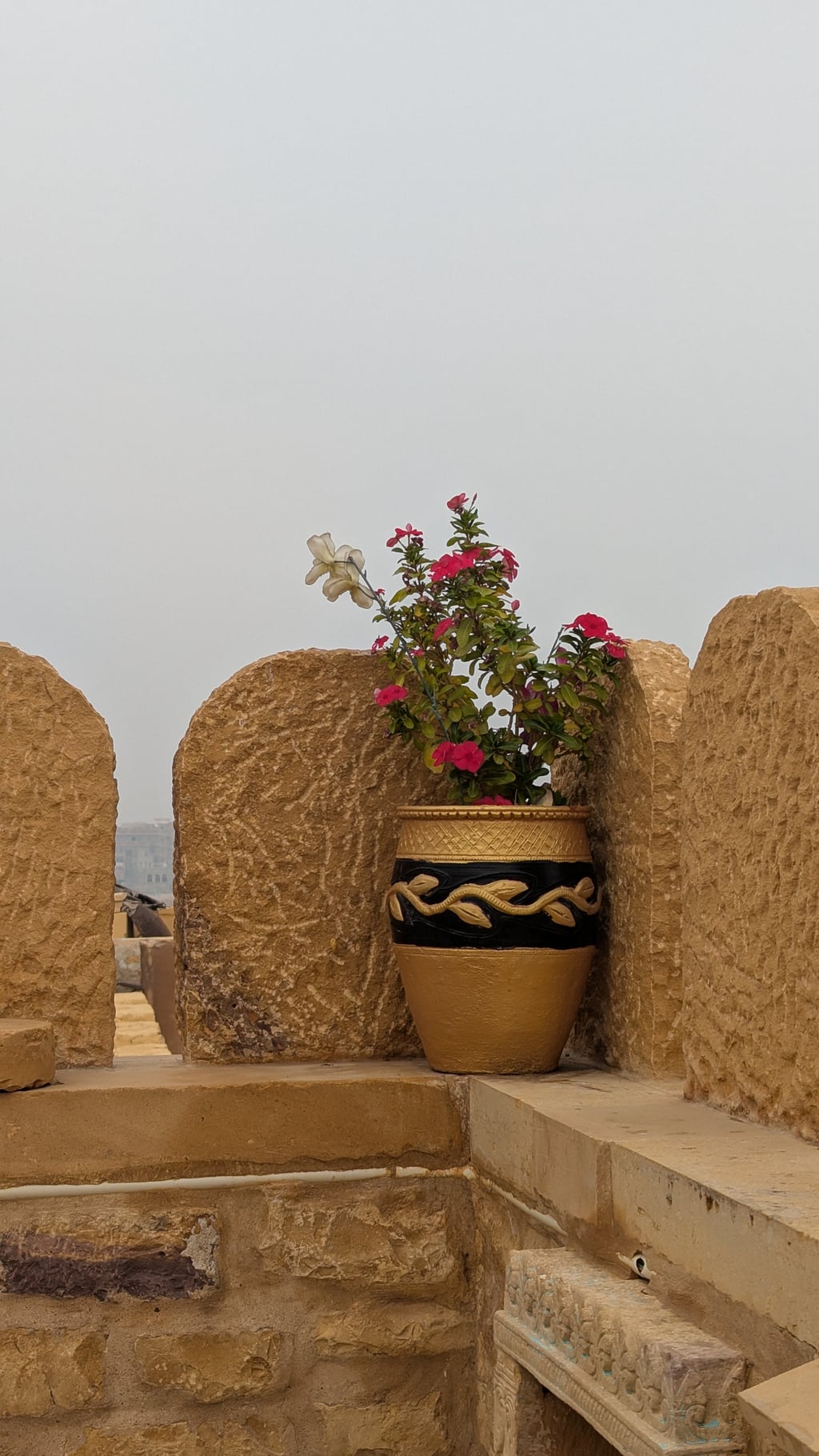 Google Pixel 7 — 7mm • ƒ/1.9 • 1/481 • ISO 37