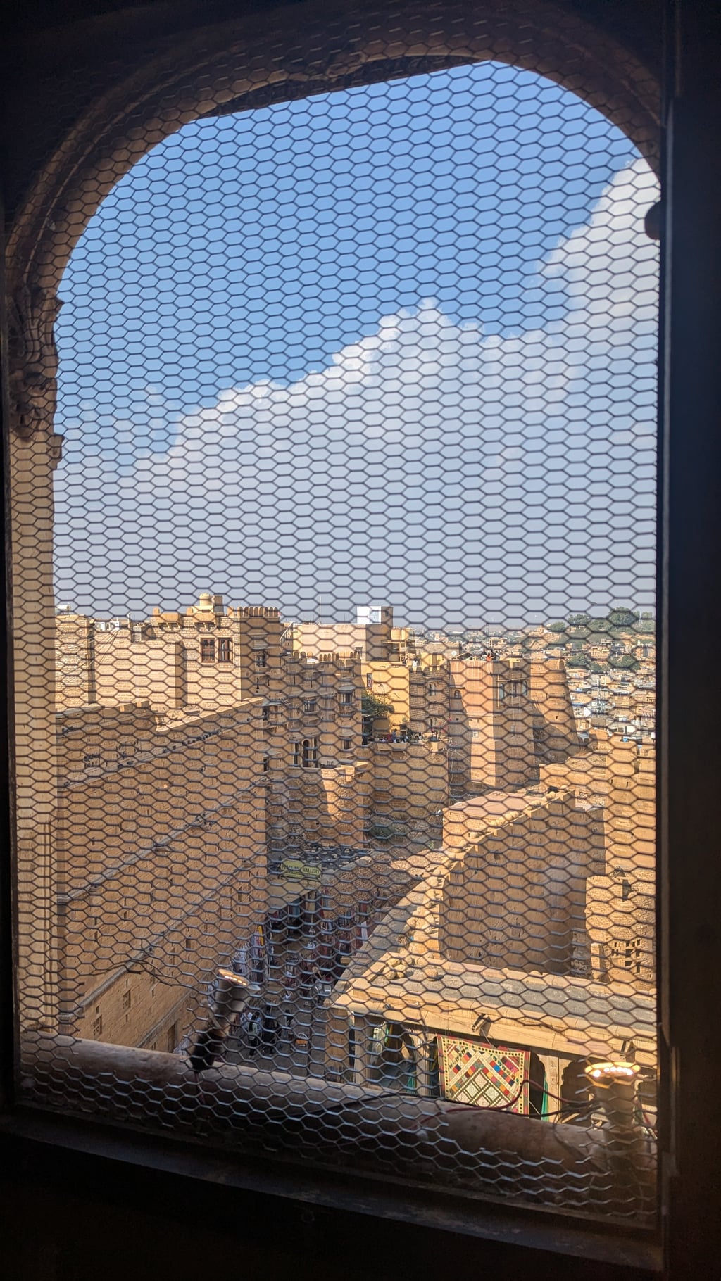 Google Pixel 7 — 7mm • ƒ/1.9 • 1/1742 • ISO 41