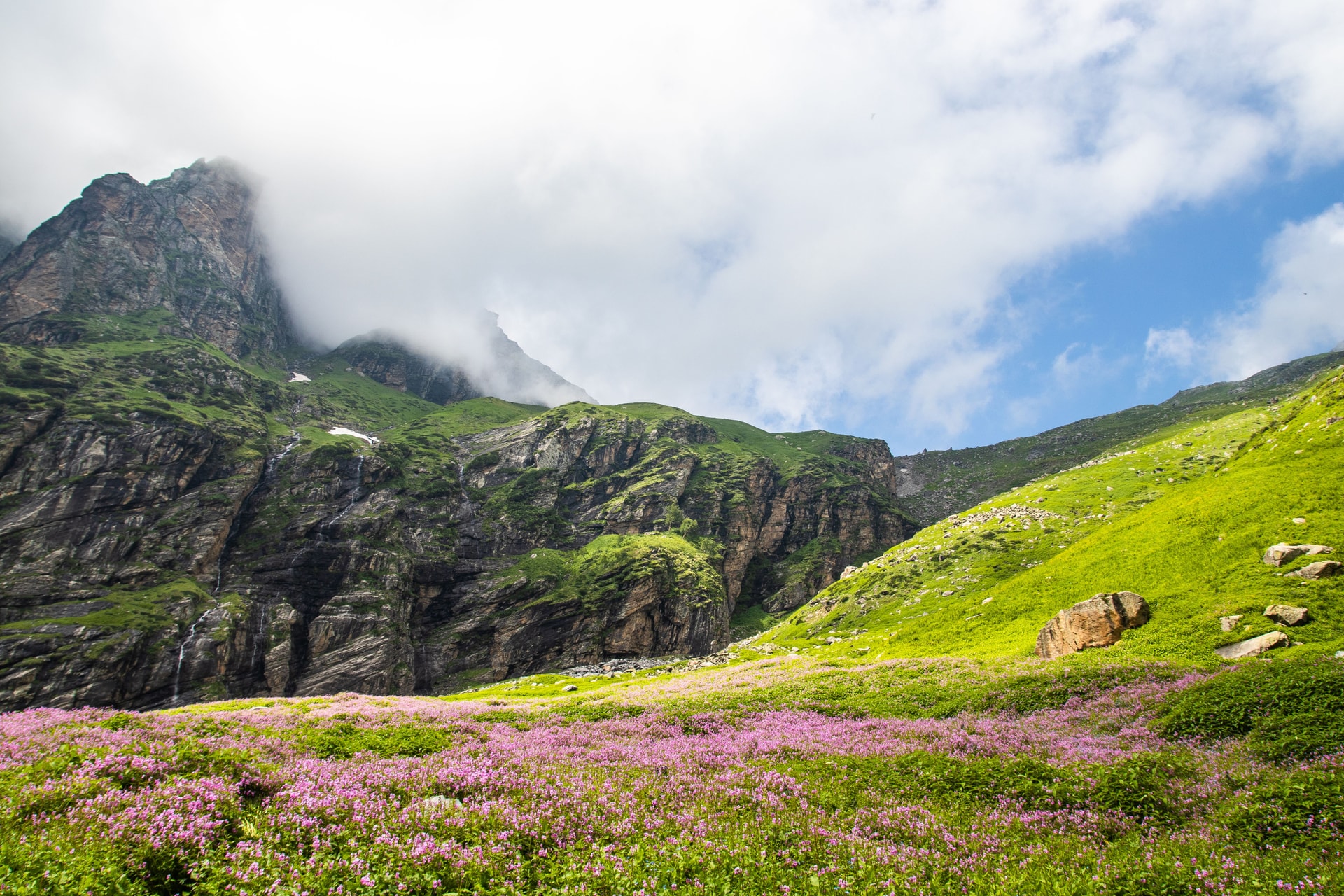 A Sudden Softness — The Monsoon Diaries: Walking the Cloud-Line at Hampta Pass