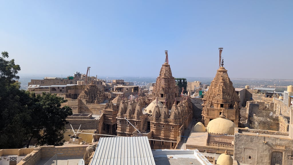 Google Pixel 7 — 7mm • ƒ/1.9 • 1/2632 • ISO 48