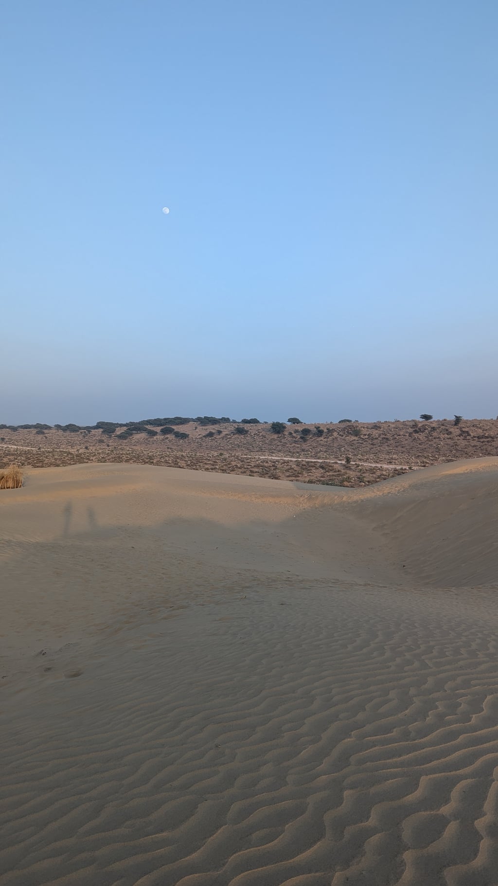 Google Pixel 7 — 7mm • ƒ/1.9 • 1/552 • ISO 37