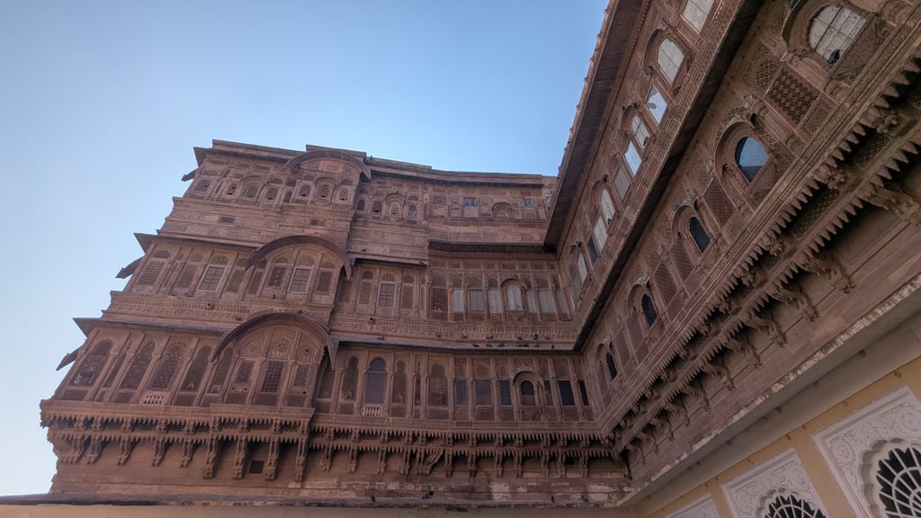 Google Pixel 7 — 2mm • ƒ/2.2 • 1/2268 • ISO 54