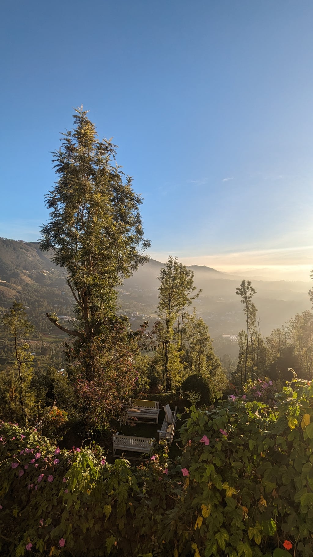 Google Pixel 7 — 2mm • ƒ/2.2 • 1/3086 • ISO 63