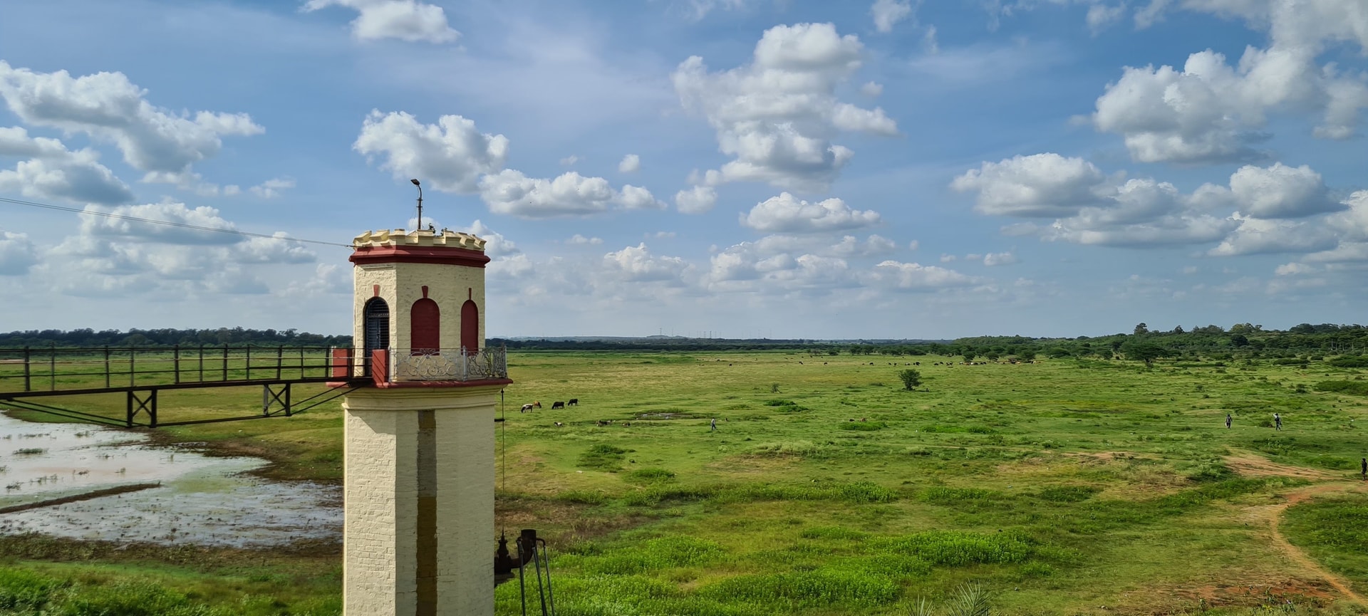 Hesaraghatta Lake & Grasslands — Things to Do, Places to Visit & Getting There from Bangalore