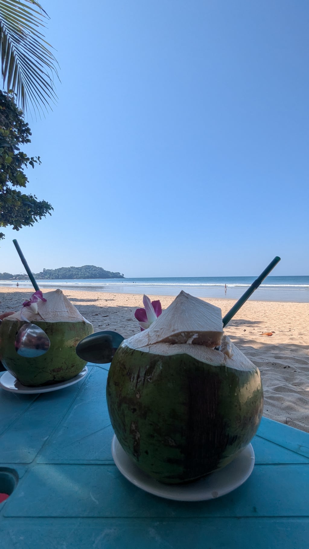 Google Pixel 7 — 2mm • ƒ/2.2 • 1/1789 • ISO 50