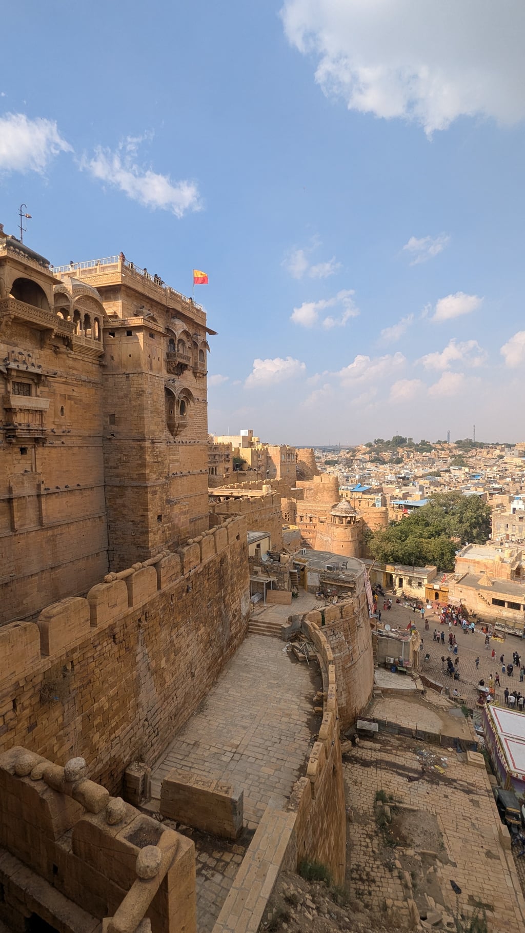 Google Pixel 7 — 2mm • ƒ/2.2 • 1/1256 • ISO 44