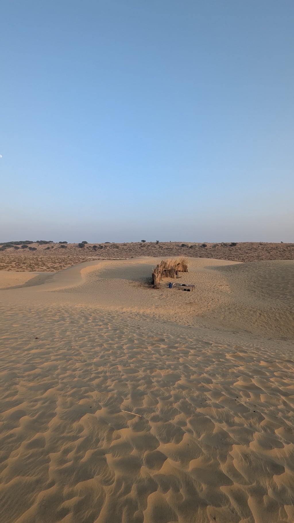 Google Pixel 7 — 2mm • ƒ/2.2 • 1/497 • ISO 43