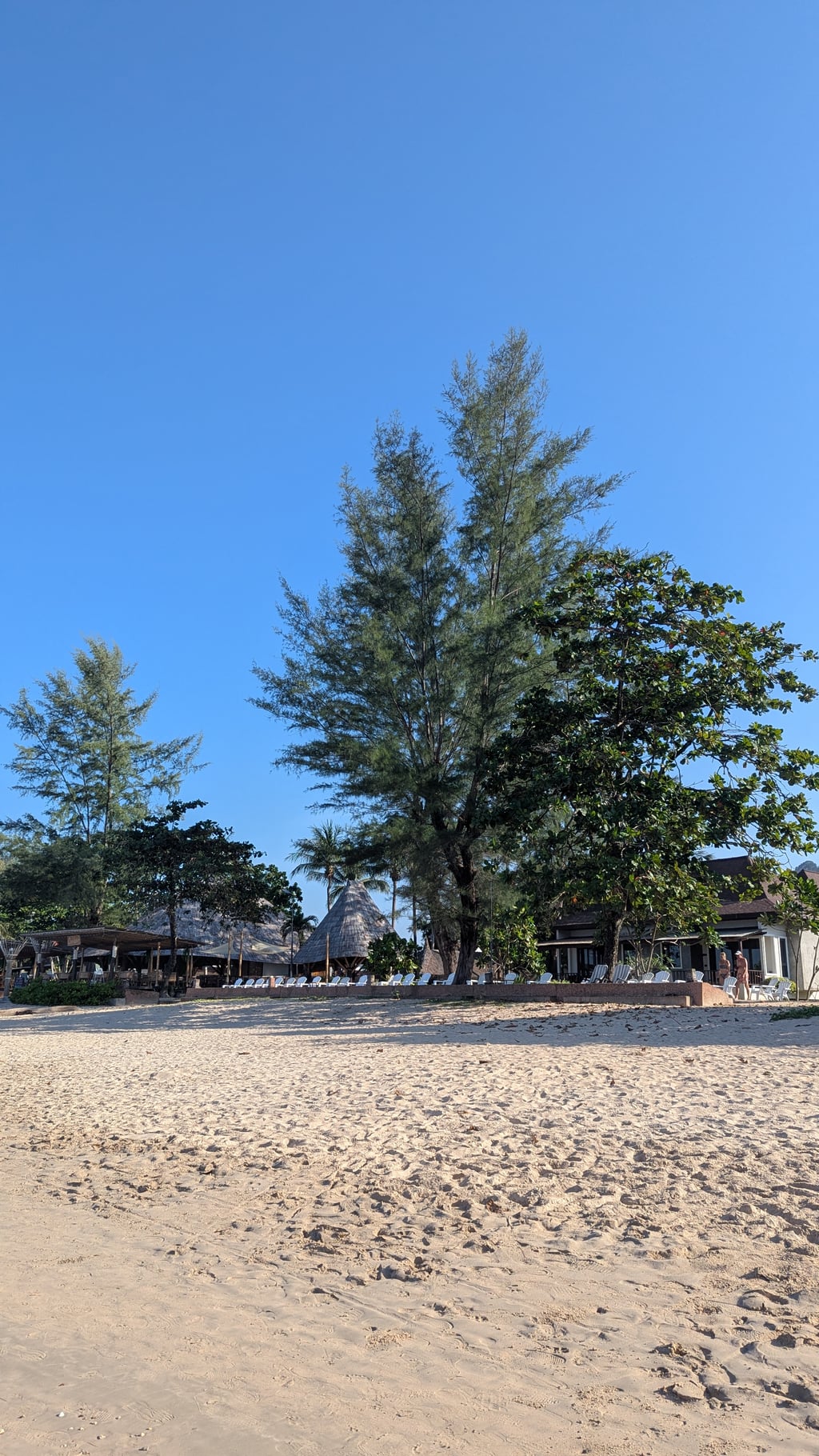 Google Pixel 7 — 7mm • ƒ/1.9 • 1/1471 • ISO 50