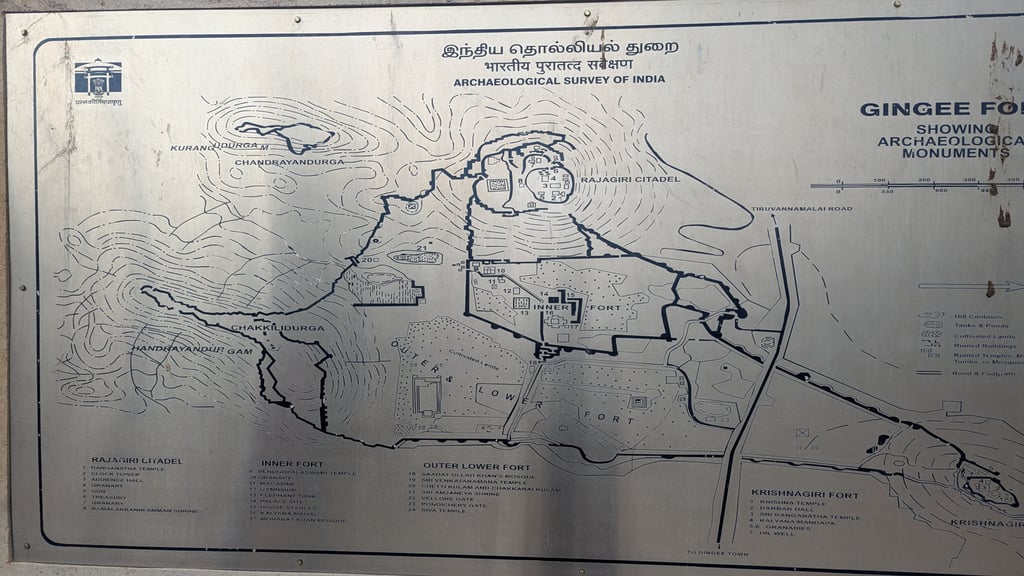 Google Pixel 7 — 7mm • ƒ/1.9 • 1/1664 • ISO 47