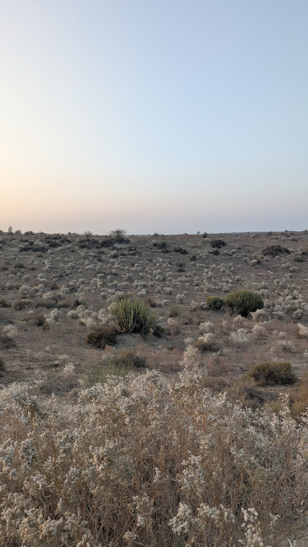 Google Pixel 7 — 7mm • ƒ/1.9 • 1/390 • ISO 45