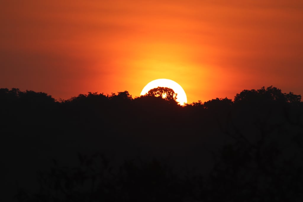 Canon Canon EOS 77D — 375mm • ƒ/6.3 • 1/800 • ISO 100