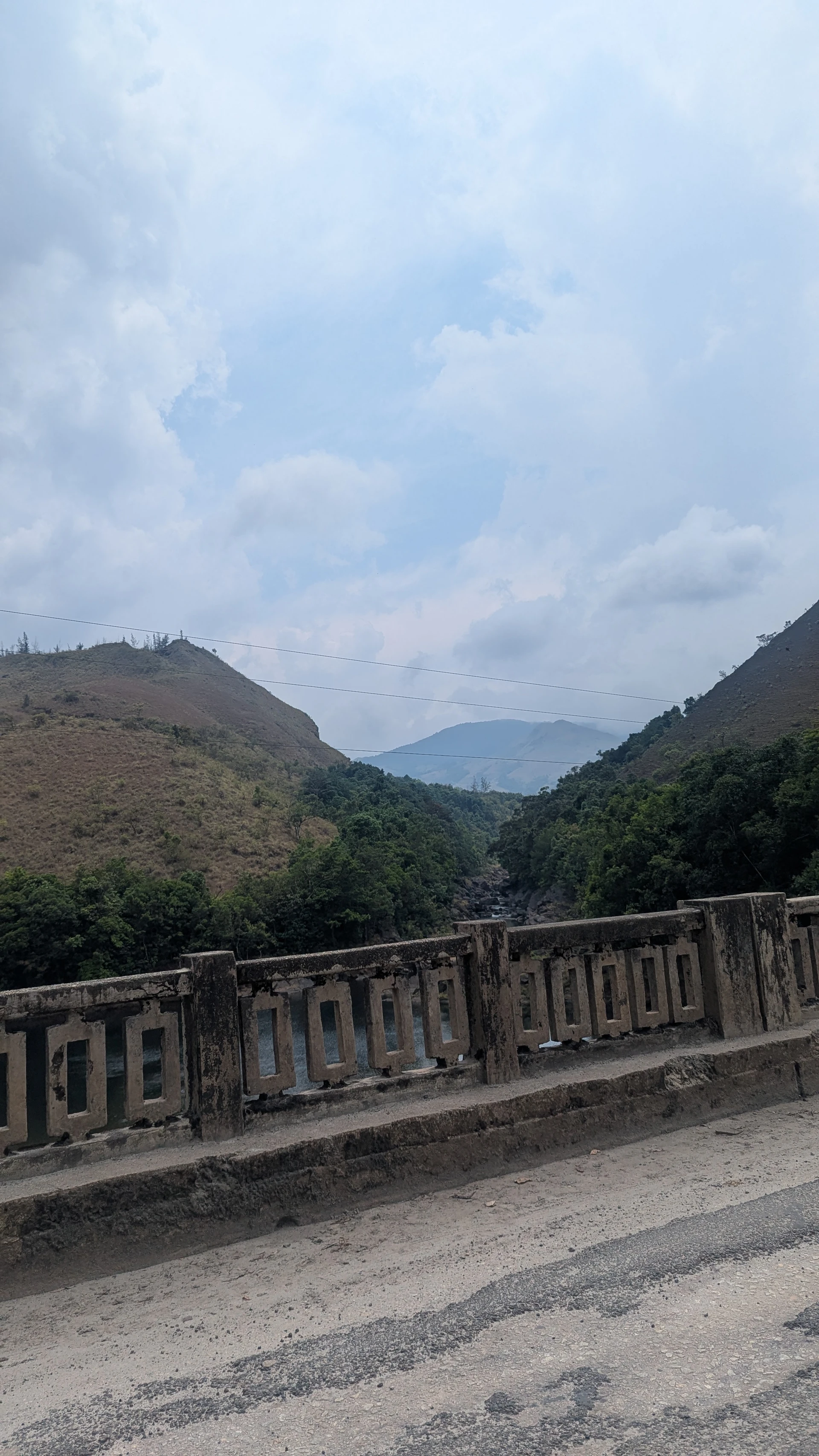 Road through Kudremukh National Park forest canopy, Karnataka Western Ghats