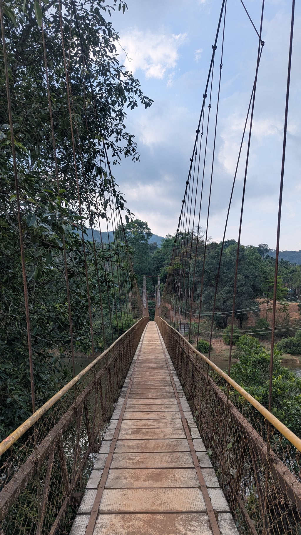 Google Pixel 7 — 7mm • ƒ/1.9 • 1/1143 • ISO 46