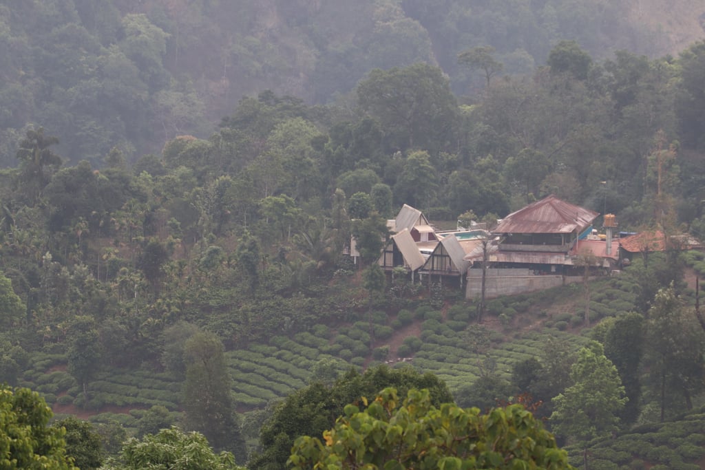 Canon Canon EOS 77D — 150mm • ƒ/6.3 • 1/250 • ISO 160