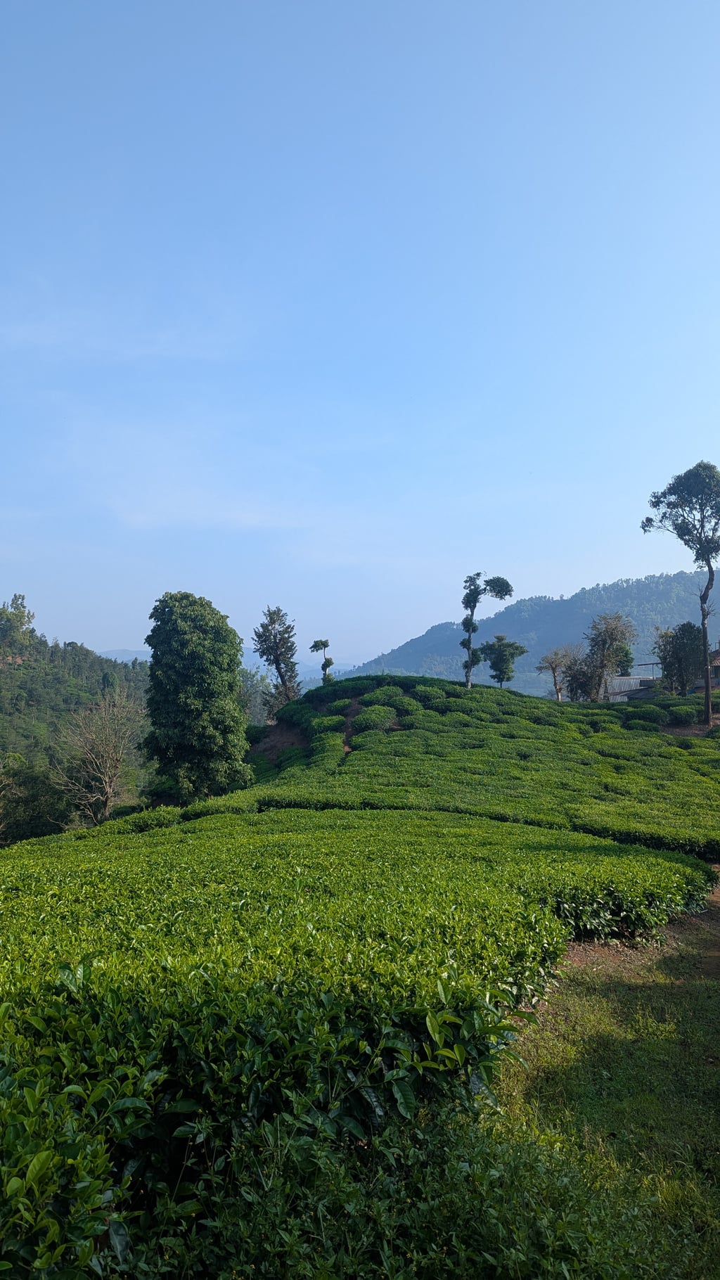 Google Pixel 7 — 7mm • ƒ/1.9 • 1/1300 • ISO 49