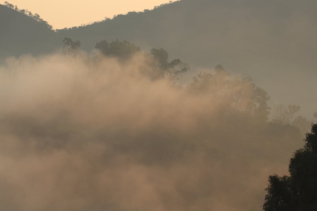 Canon Canon EOS 77D — 150mm • ƒ/6.3 • 1/250 • ISO 100