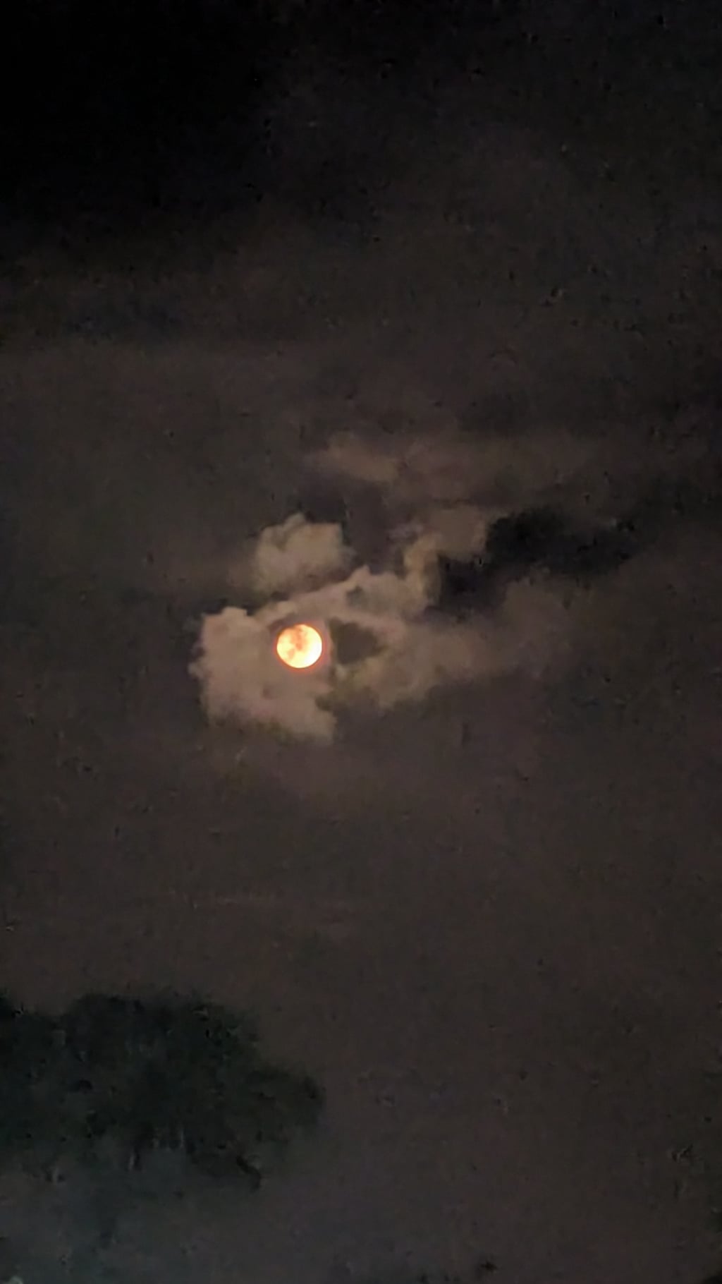 Google Pixel 7 — 7mm • ƒ/1.9 • 1/25 • ISO 875