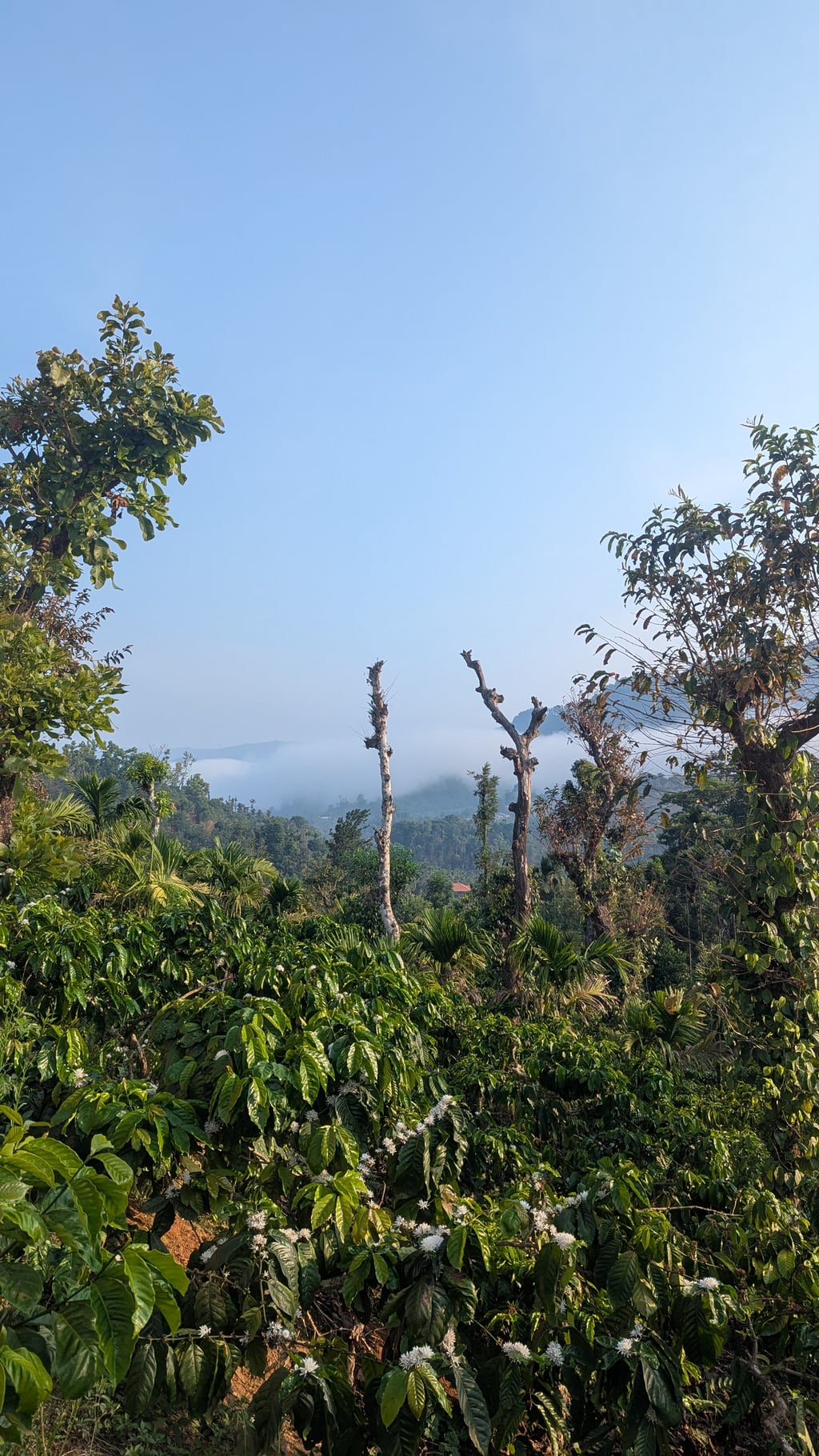 Google Pixel 7 — 7mm • ƒ/1.9 • 1/1002 • ISO 53