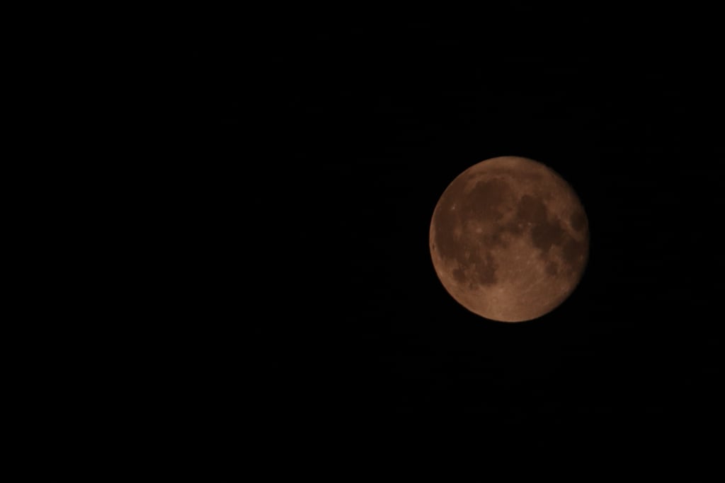 Canon Canon EOS 77D — 600mm • ƒ/6.3 • 1/125 • ISO 1600