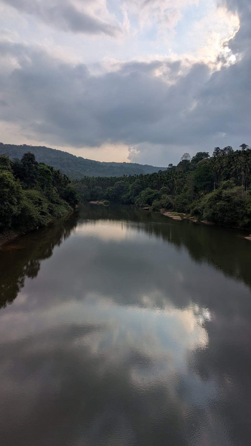 Google Pixel 7 — 2mm • ƒ/2.2 • 1/4651 • ISO 39