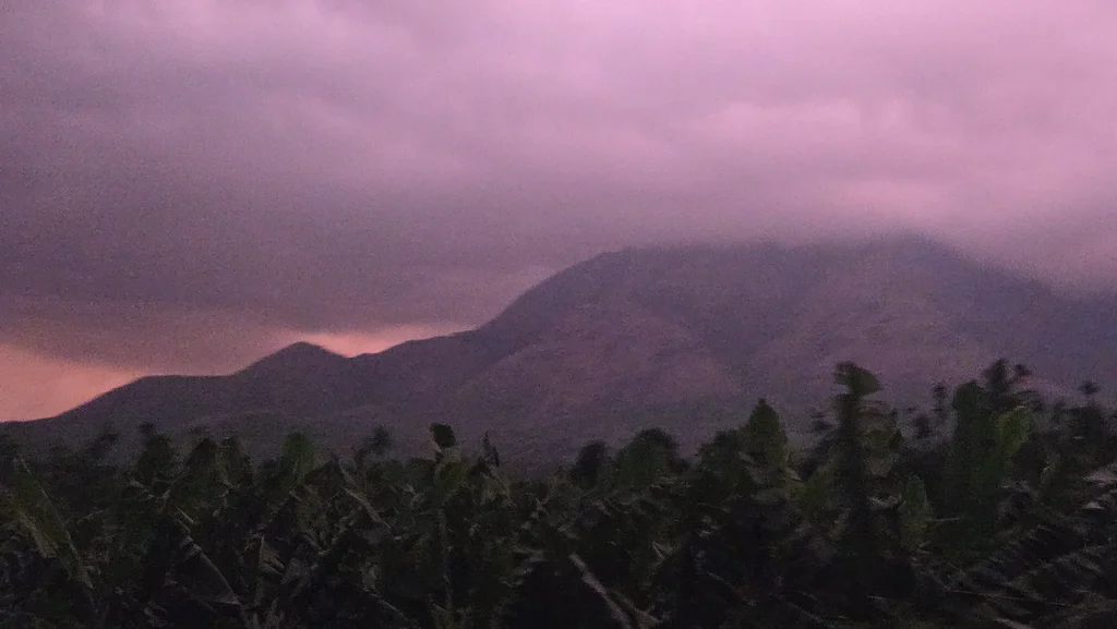 Wayanad 2026: Everything We Planned, Everything We Missed, and Why It Was Still Worth It
